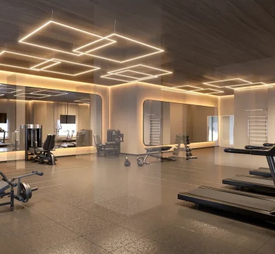 Ilustração Academia